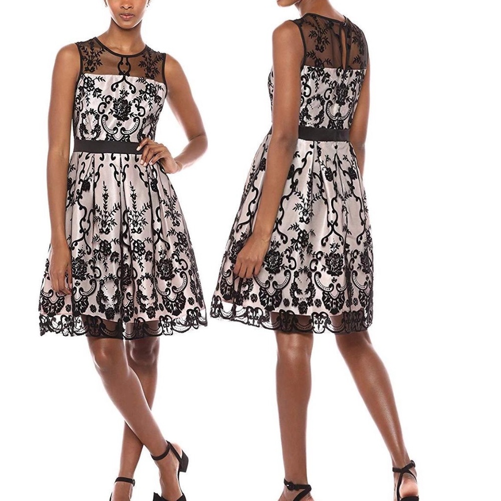 Women's Gabby Skye Lace  Metallic A-Line Cocktail Dress Black Blush 14